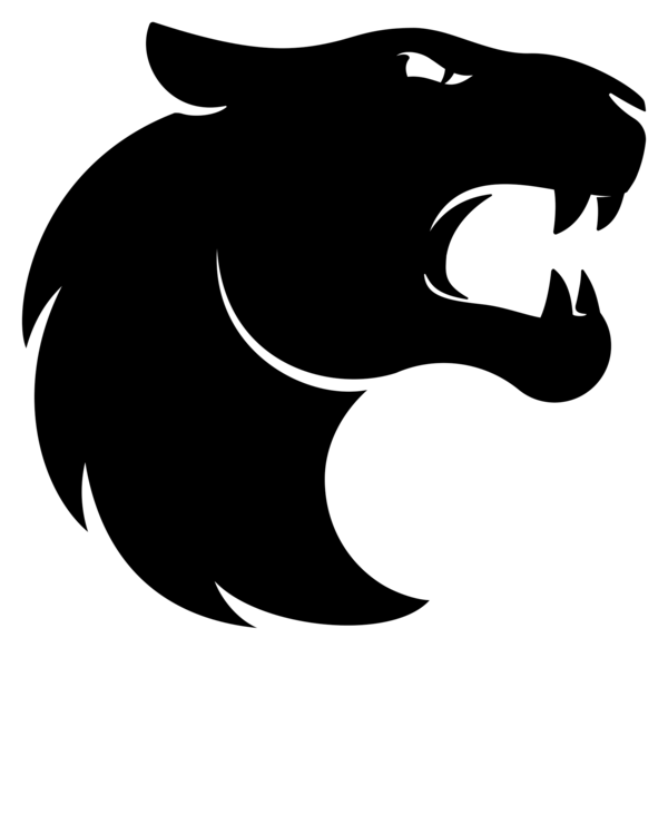 Furia Logo